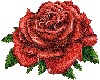 Sparkling Rose