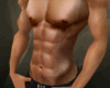 [D] Perfect Muscle