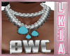 BWC CHAINS