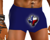 Texas Bathing Suit deriv