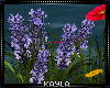 Flower Window Cute