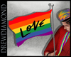 Dd- Pride Flag