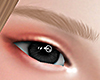 L⚜ Blonde Brows