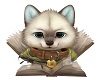 The Reader