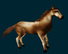 WWW Ridng Horse 2