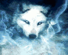 (J.L)Dome Loup