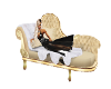 pet on a chaise