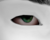 Eyes Green 2T