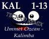 Kalimba (Techno Remix)