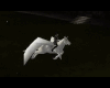 [DJ]Flying White Pegasus