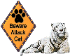 Beware Attack Cat