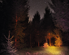 the sound of the night