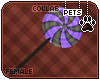 [Pets] Makybe | lollipop