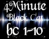 4minute black cat
