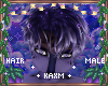 ꨄPurrzor Hairꨄ