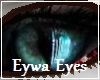 Eywa Navi Eyes