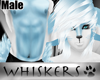 Whiskers :Frost Fur M