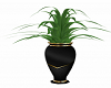 Vase Plant A5