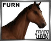 [H]Horse ► Furn