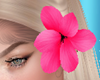 Hair Flowers Pink