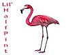 Tropical Flamingo