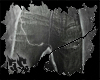 5C Skater Pants