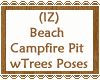 Beach Campfire Pit Trees