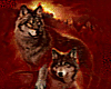 (RD)sunset Wolf Tee F