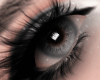 Eyes - Gray