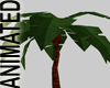 MLM Potted Palm Plant