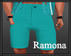 Summer Teal Shorts