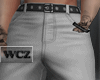 WCZ| Sander