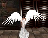 Animated White wings