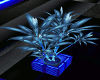 ~Z~ Fusia:Blue Plant