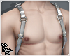 FTM Silver Harness