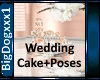 [BD]WeddingCake+Poses