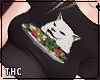   meme cat