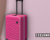 Pink Luggage