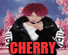 MLine| Korean Cherry