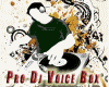 [BTR] Pro DJ Voice Box