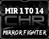 Mirror Fighter