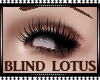 - BLIND - LOTUS