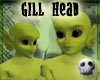 =CP= Gill Head