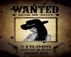 Wanted Ashley Poster