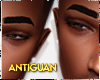 A Long thick eyebrows