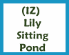(IZ) Lily Sitting Pond