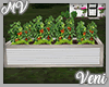 *MV* Garden Planter V2