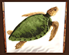 GL-Turtle Picture