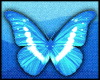 ButterflyBlue