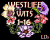 {LDs} WestLife -WITS